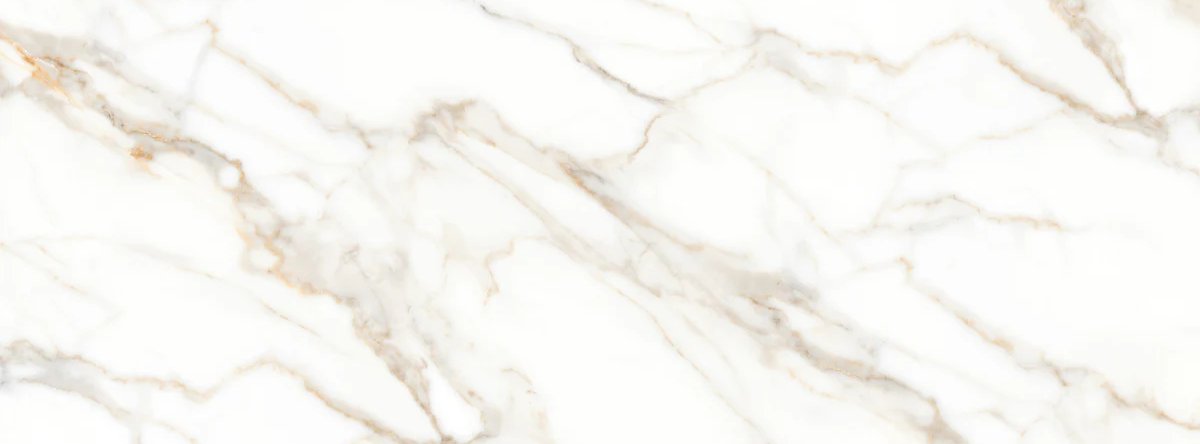 1-53191404421387-44324137500939.jpeg