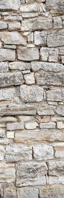 1-53208896405771-44326877954315.jpeg