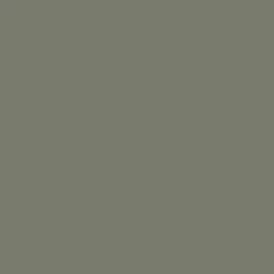 1-53210539327755-44347629306123.jpeg