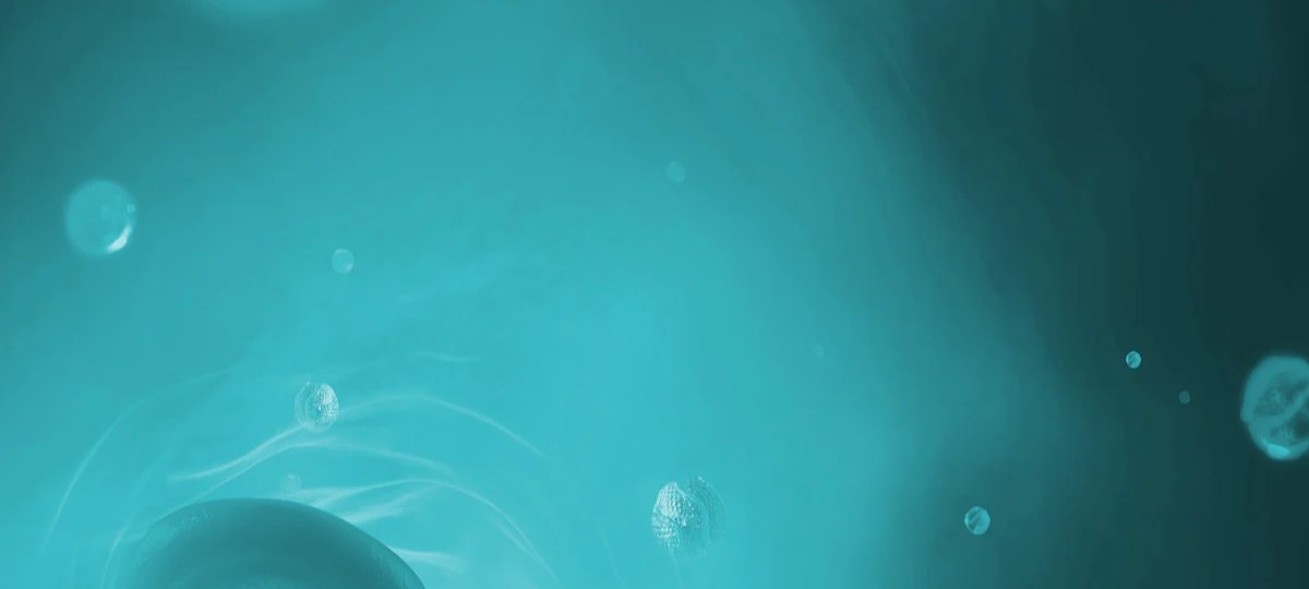 1-53212940665099-64537796509963.jpeg