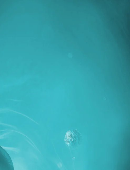 1-53212947448075-64537796509963.jpeg
