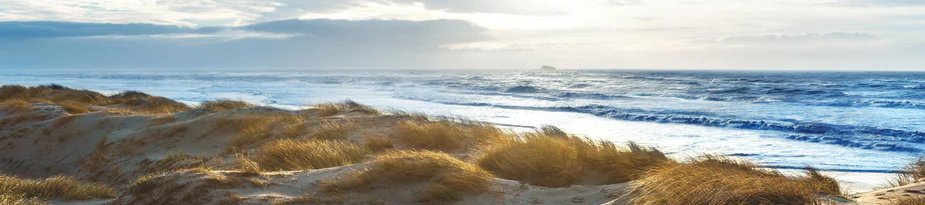 1-53225544057099-48382292295947.jpeg