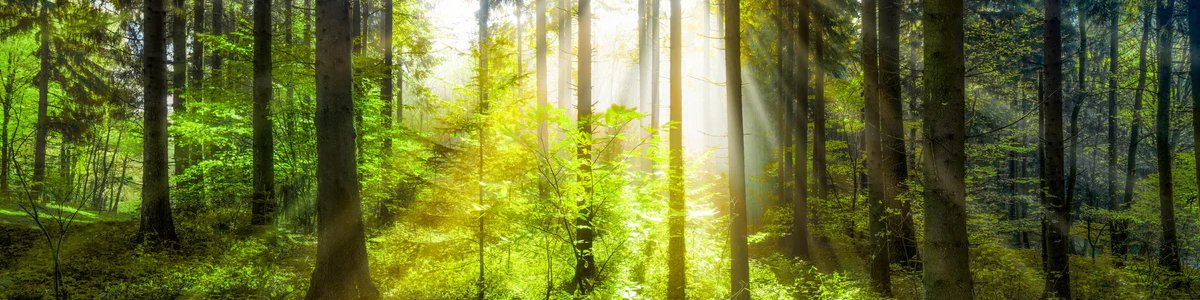 1-53238046064907-46223521743115.jpeg