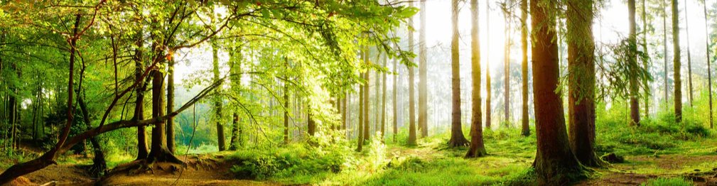 1-53239601594635-46218507419915.jpeg