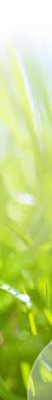 1-53265119838475-60777084059915.jpeg