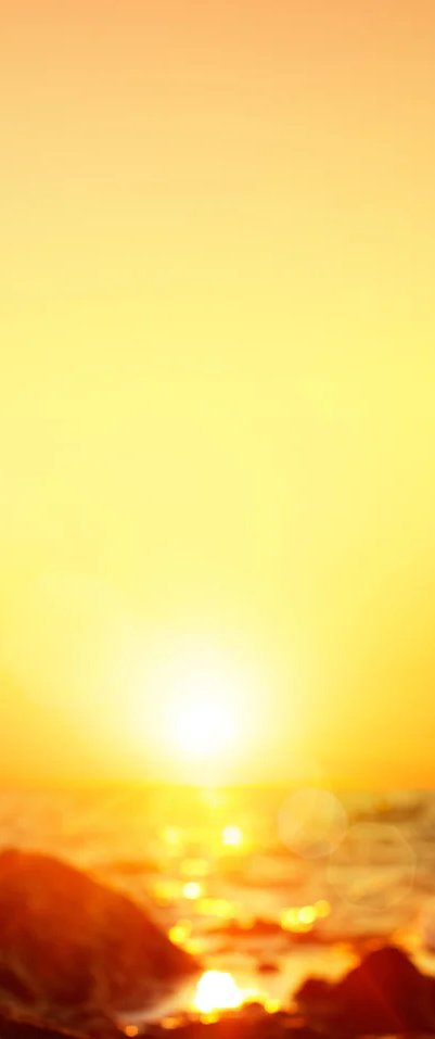 1-53266984632587-44343973708043.jpeg