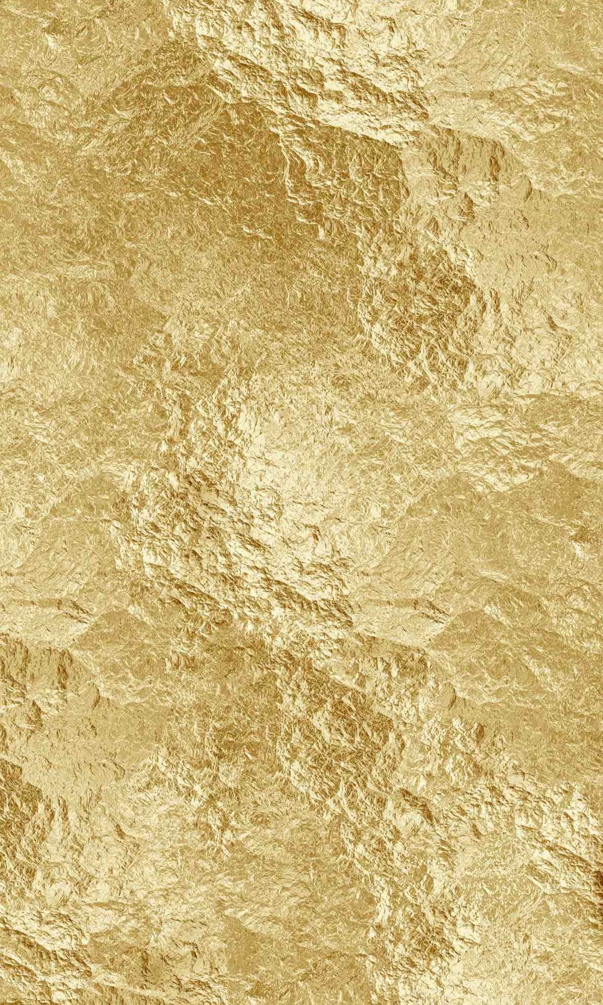 1-53270745743627-66100668137739.jpeg