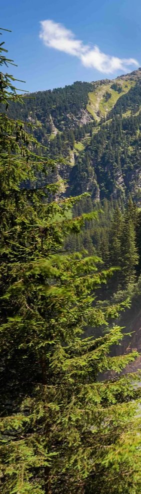 1-53275924136203-66751418466571.jpeg
