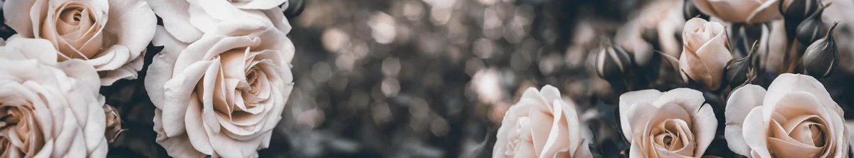 1-53284257628427-44359604207883.jpeg
