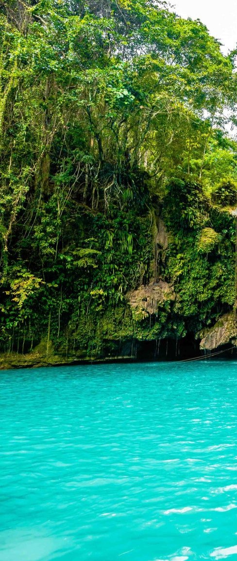 1-53295369814283-66101385593099.jpeg