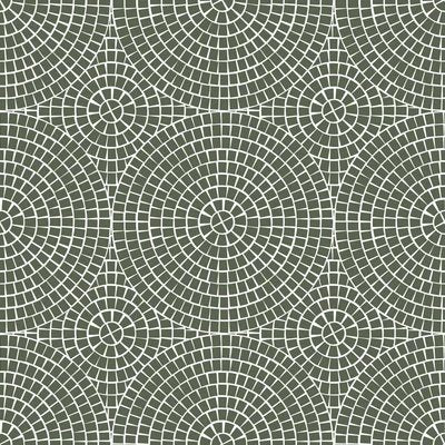 1-53301646065931-50962194596107.jpeg