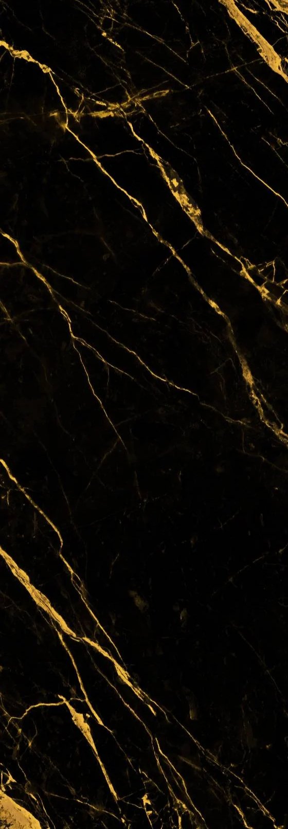 1-53314044297483-66099692798219.jpeg