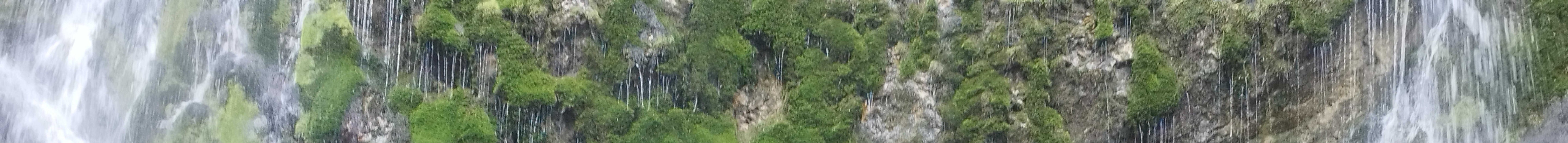 1-53317484151051-40428056740107.jpeg