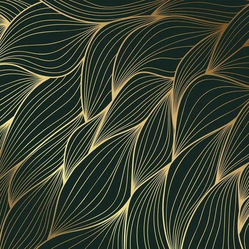 1-53318947242251-66287154823435.jpeg