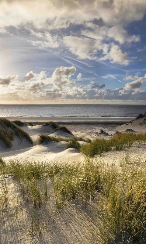 1-53326484144395-66716048392459.jpeg