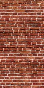 1-53328046981387-65045163409675.jpeg