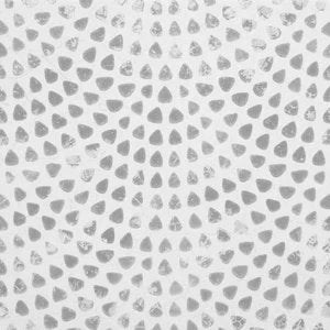 1-53329065312523-44331369660683.jpeg