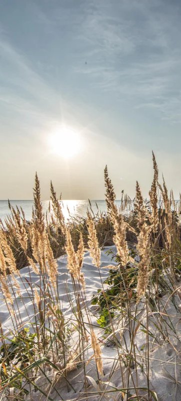 1-53329819009291-44343349117195.jpeg