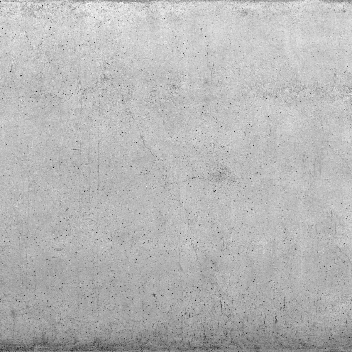 1-53344649347339-66088377319691.jpeg
