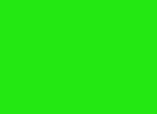 1-53346568732939-44347019821323.jpeg