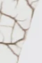 10-52855269687563-45938873008395.png