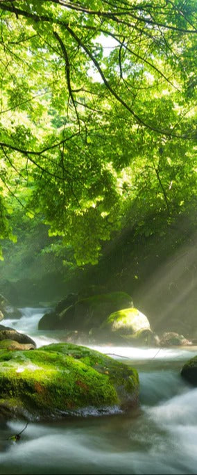 Duschrückwand - Shangrenzawa