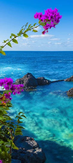 Duschrückwand - Naturpool in Porto Moniz