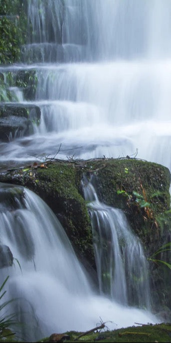 Duschrückwand - Wasserfall im Wald mit Flesen