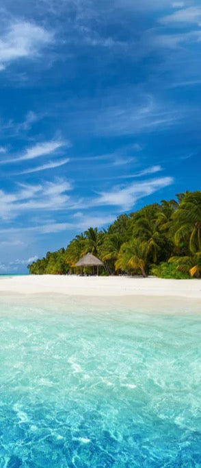 Duschrückwand - Tropische Insel mit Kokospalmen