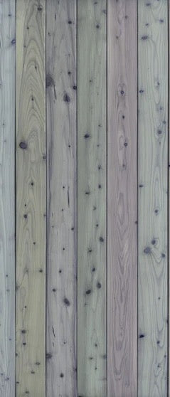 Duschrückwand - Bunte Holz Wand Textur