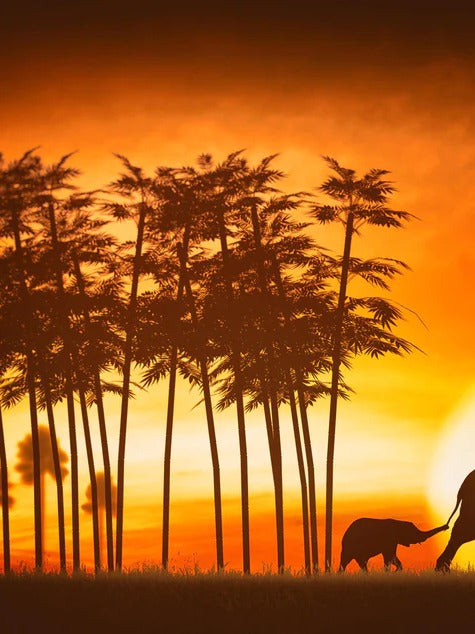 Duschrückwand - Elefantenfamilie