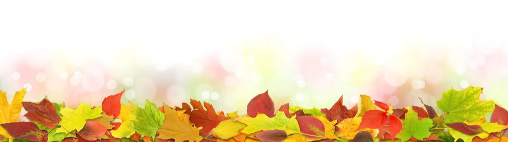 Küchenrückwand - Herbst Fantasie