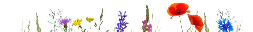 Küchenrückwand - Blumenwiese