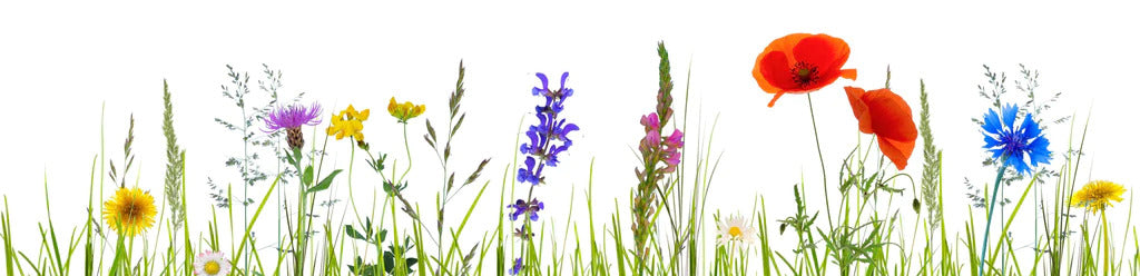 Küchenrückwand - Blumenwiese