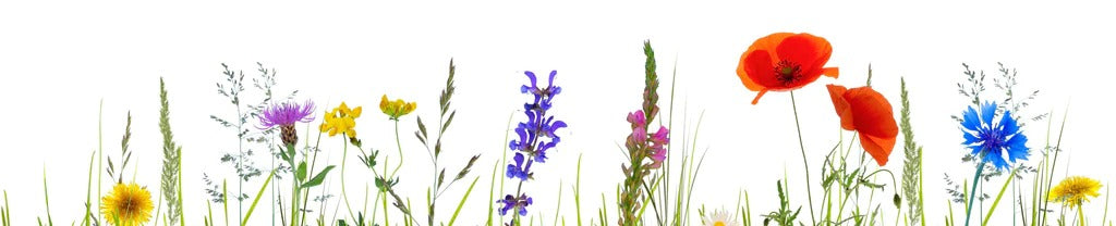 Küchenrückwand - Blumenwiese