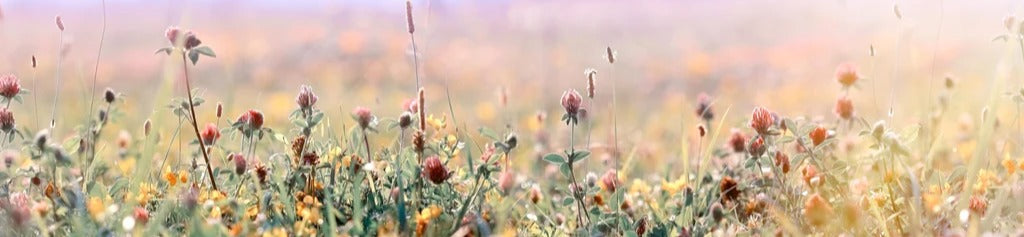 Küchenrückwand - Schöne Wiese