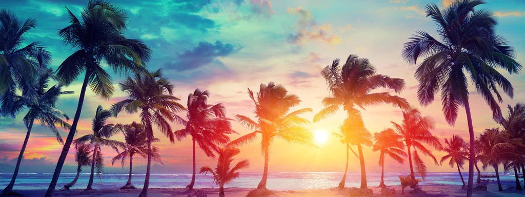 Küchenrückwand - Palmen Silhouetten - Karibik