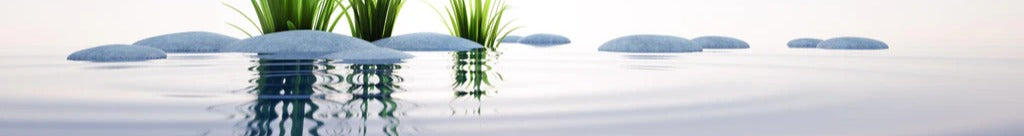 Küchenrückwand - Steine und Gras im See Querformat