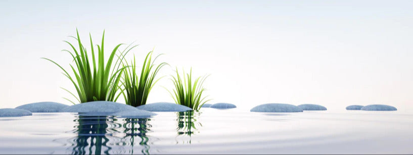 Küchenrückwand - Steine und Gras im See Querformat