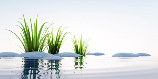 Küchenrückwand - Steine und Gras im See Querformat