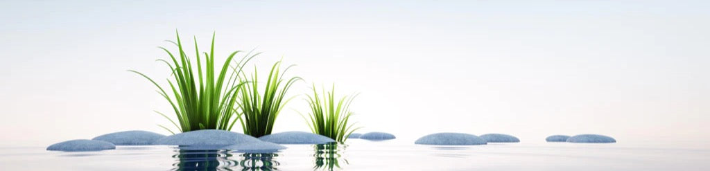 Küchenrückwand - Steine und Gras im See Querformat