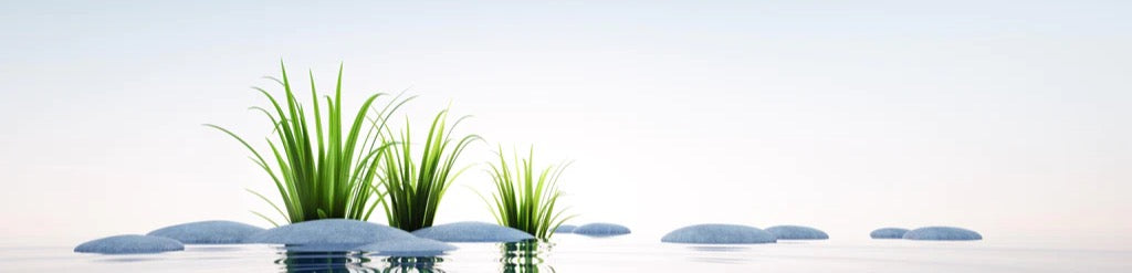 Küchenrückwand - Steine und Gras im See Querformat