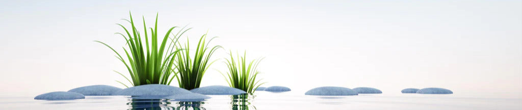 Küchenrückwand - Steine und Gras im See Querformat