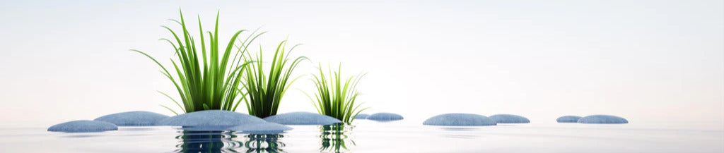 Küchenrückwand - Steine und Gras im See Querformat