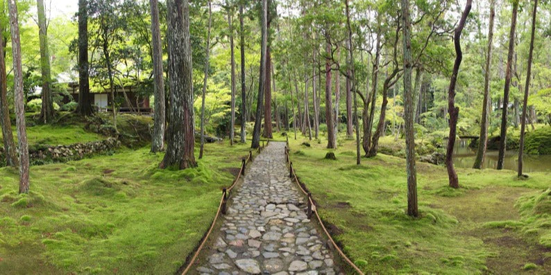 Küchenrückwand - Wunderschöner Moosgarten in Kyoto