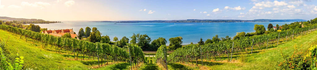 Küchenrückwand - Bodensee Panorama in Birnau