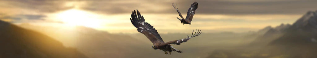 Küchenrückwand - Steinadler an den Alpen