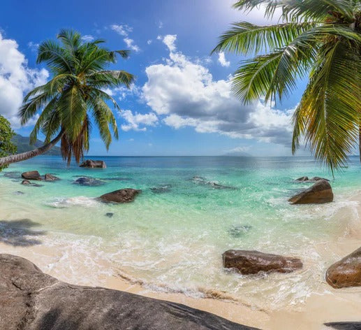 Küchenrückwand - Blick auf den schönen tropischen Strand