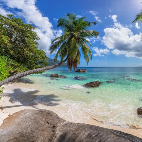 Küchenrückwand - Blick auf den schönen tropischen Strand