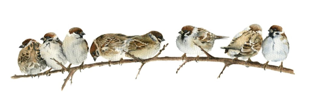 Küchenrückwand - Spatzen auf einem Zweig